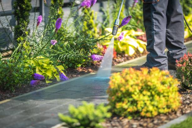 Best Patio and Deck Pressure Washing  in Levittown, NY